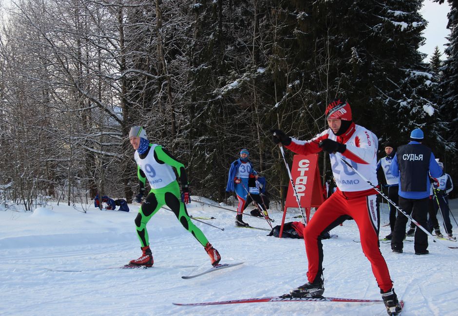 Соревнования Кировской региональной организации Общества «Динамо» по лыжным гонкам среди ветеранов