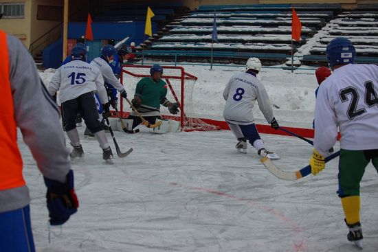 Открытое первенство Кубка ИРО «Динамо»  по мини-хоккею с мячом, посвященное Дню защитника Отечества