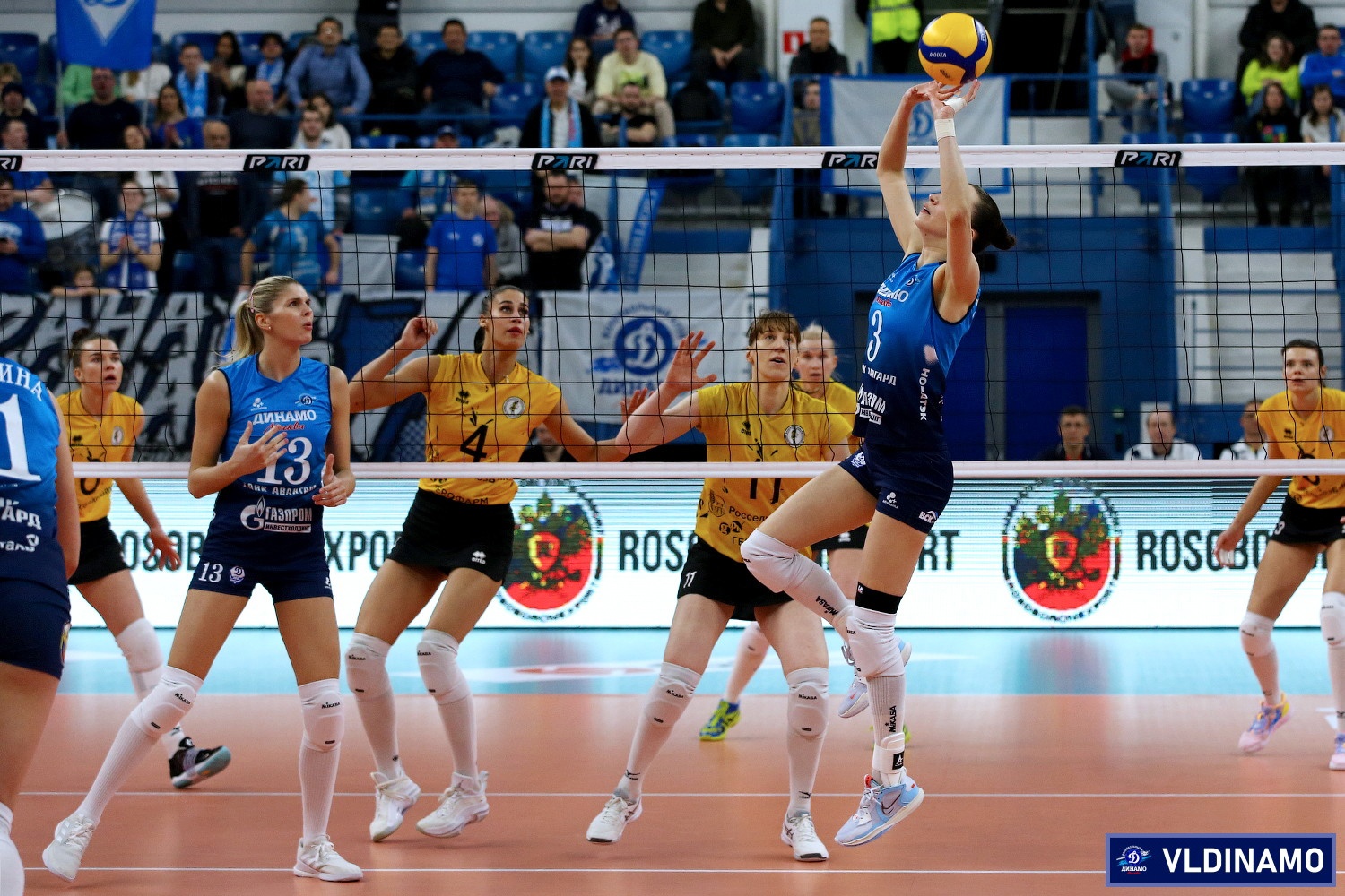 Волейбол чемпионат россии женщины ленинградка динамо