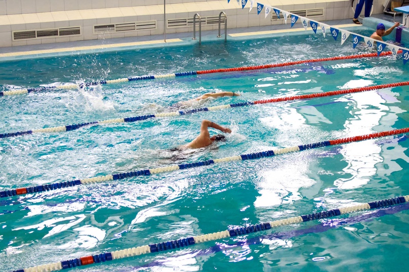 бассейн динамо водный стадион. плавание бассейн динамо. плавание бассейн динамо. бассейн динамо вологда официальный сайт. динамо москва.