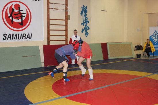 В Карелии прошел Чемпионат региональной организации «Динамо» по боевому самбо