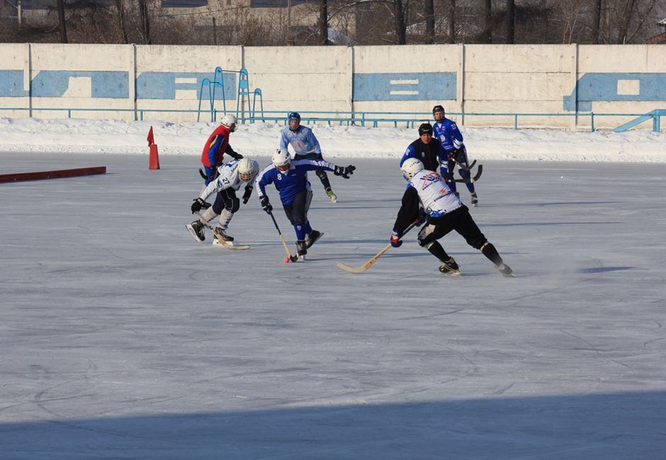 Открытое первенство Иркутского регионального отделения «Динамо» по мини-хоккею с мячом, посвященное Дню защитника Отечества