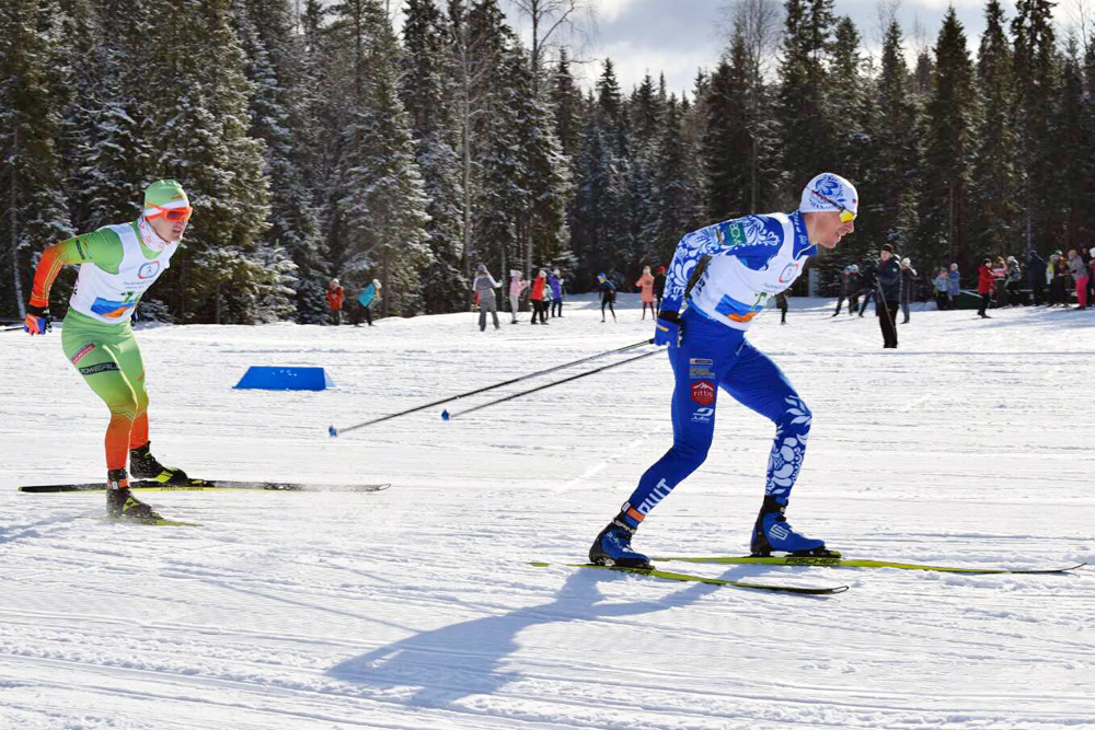 Чемпионат по лыжным гонкам спартакиады областной организации «Динамо»