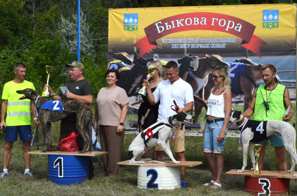 DSC_0710.JPG