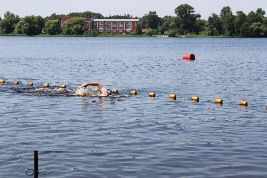 IMG_6925.jpg IMG_6925.jpg
