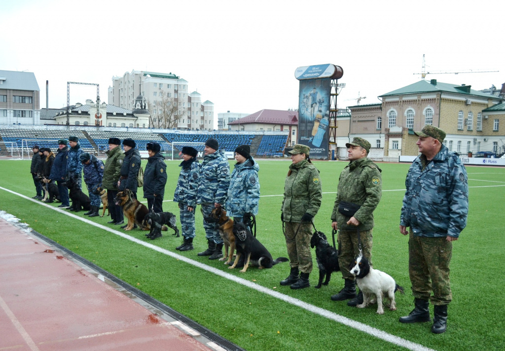 DSC_0156.JPG