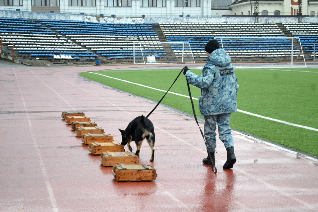 DSC_0179.JPG DSC_0179.JPG