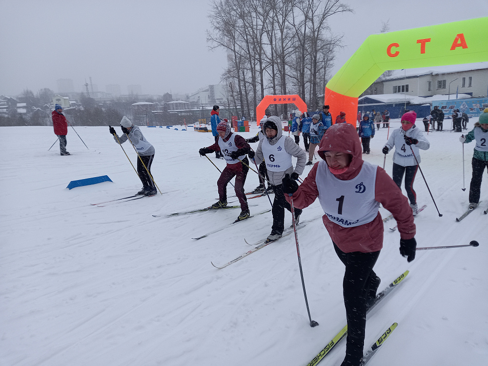 В Перми состоялись динамовские соревнования по лыжным гонкам среди ветеранов 