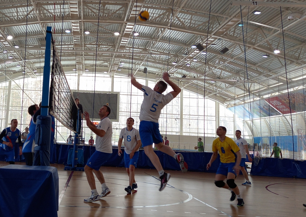 В Томске завершился турнир «Динамо» по волейболу 