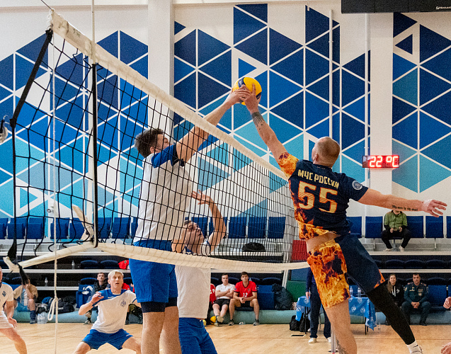 Кубок МГО ВФСО «Динамо» по волейболу 