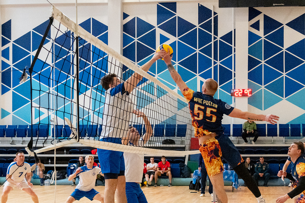 Кубок МГО ВФСО «Динамо» по волейболу 