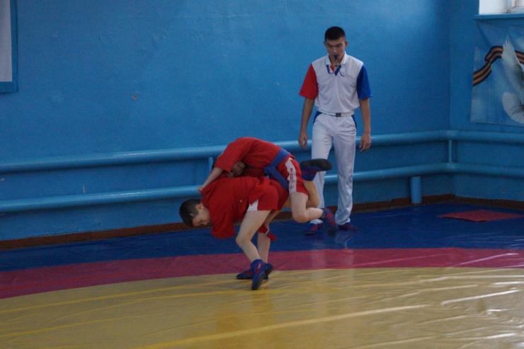 В Омске прошел ежегодный динамовский турнир по самбо «Преемственность поколений»
