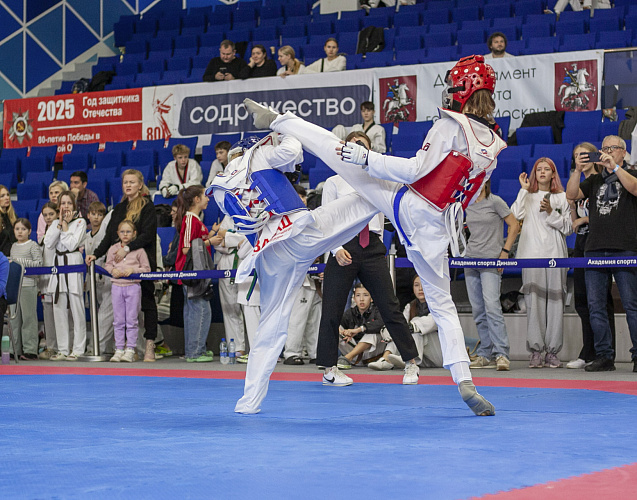 Кубок Общества «Динамо» по тхэквондо 
