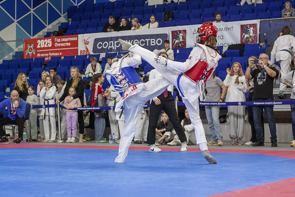 Кубок Общества «Динамо» по тхэквондо 