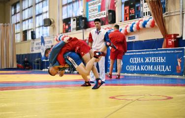 Всероссийские соревнования по самбо спартакиады динамовских коллективов образовательных организаций ФОИВ РФ