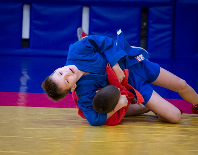 Новосибирское «Динамо» провело турнир по самбо, посвященный Дню работника органов безопасности России