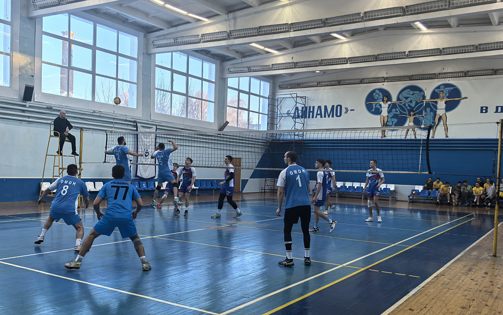 В Ульяновске прошли соревнования по волейболу в рамках Спартакиады «Динамо»