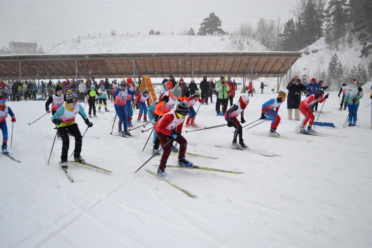 В Барнауле прошли краевые соревнования по лыжным гонкам «Динамовская лыжня» 