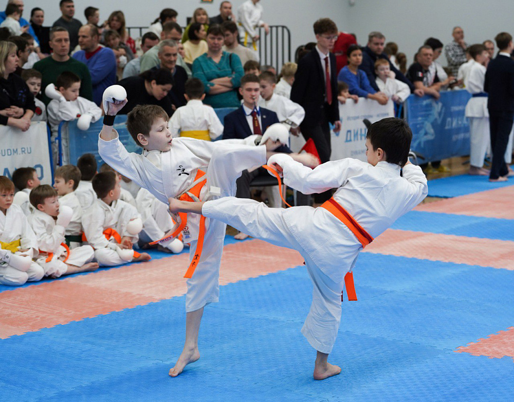 В Ижевске провели «Новогодний кубок «Юный Динамовец» по восточному боевому единоборству