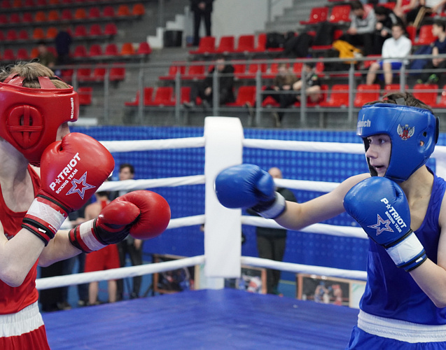 В Нальчике прошли всероссийские соревнования «Динамо» по боксу