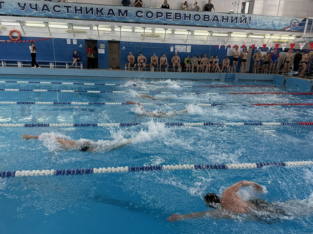 Амурская область. Завершились динамовские соревнования по плаванию