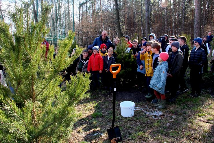 В Туле в парке им. П.П. Белоусова заложена новая аллея «Динамо»