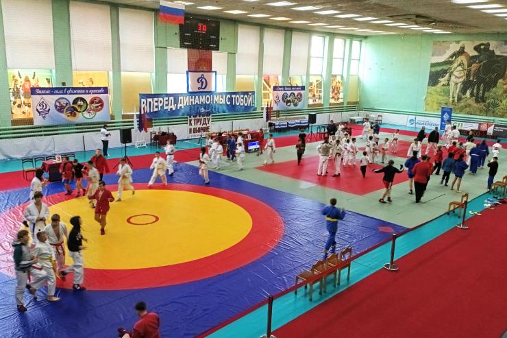 Состоялся фестиваль спортивных единоборств «Юный динамовец» в ЦФО
