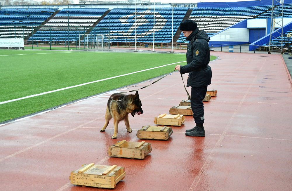 В Барнауле прошли соревнования по многоборью кинологов среди динамовских коллективов физической культуры