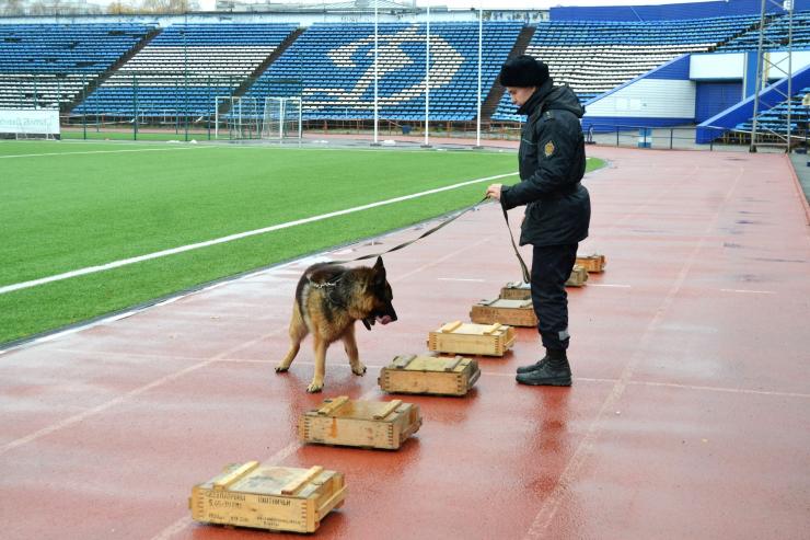 В Барнауле прошли соревнования по многоборью кинологов среди динамовских коллективов физической культуры